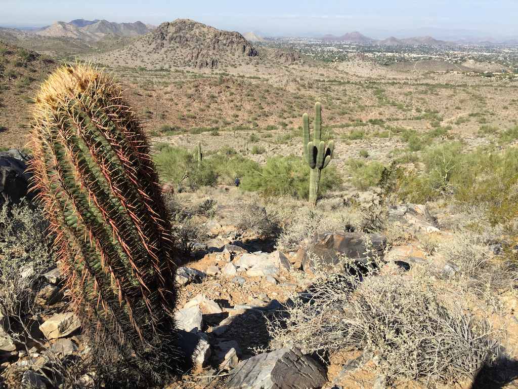 Hiking the trails outside Phoenix, Arizona